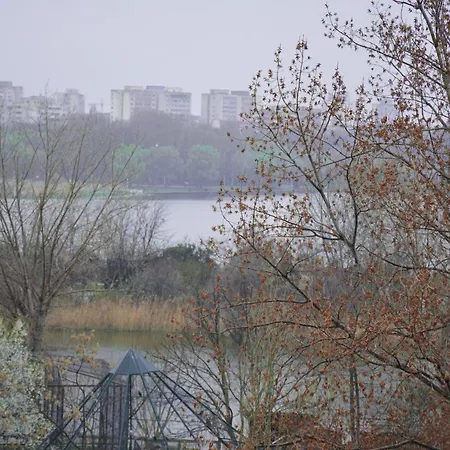 Golden Rose Constanţa